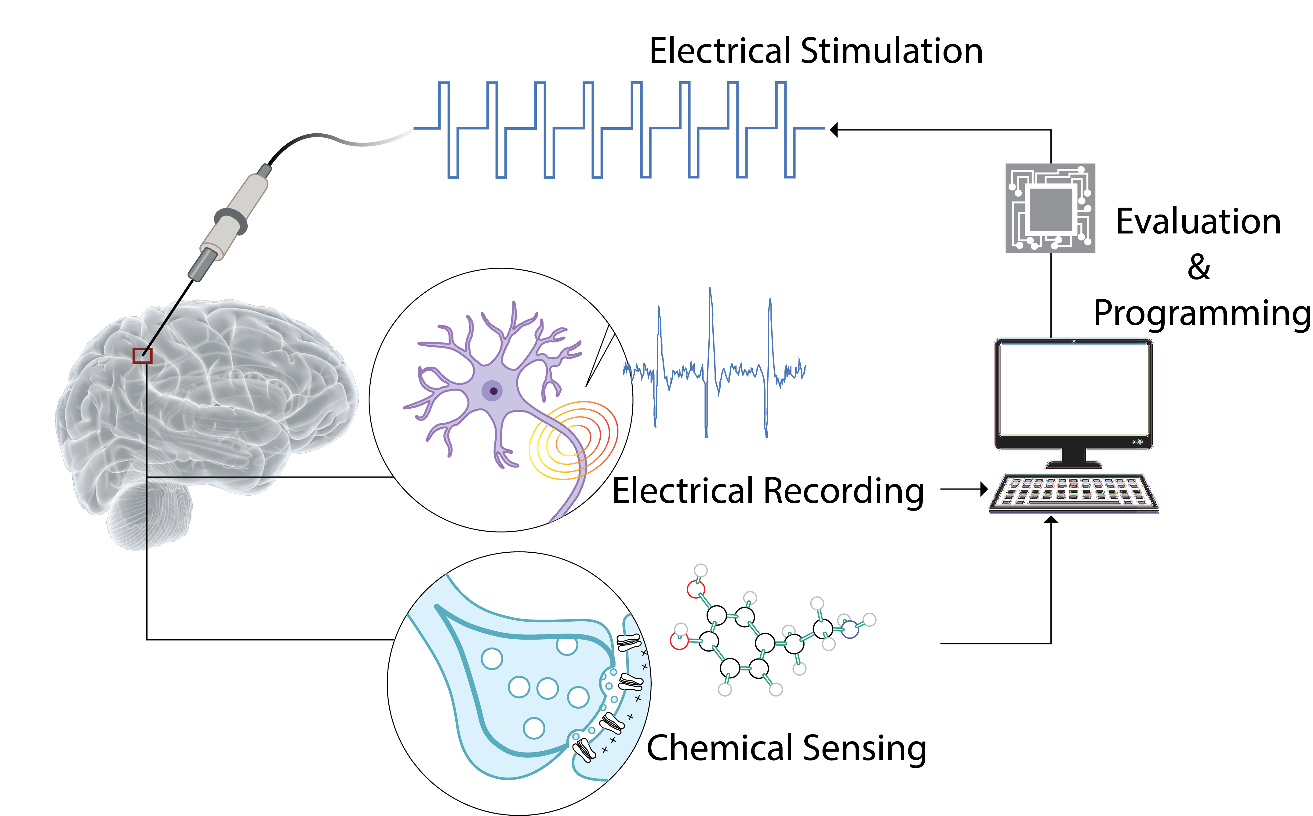 Research – Dr Wei Tong, Carbon-Based Neural Interface